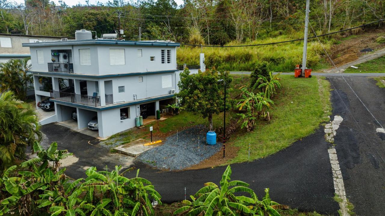 Green Studio 1 - Just 7 Min Drive To The Beach Rincon Exterior photo